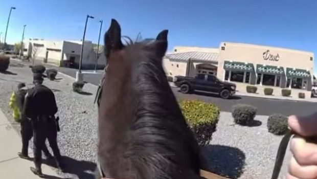 Αστυνομικός πάνω σε άλογο καταδίωξε κλέφτη – Τον έφτασε σε δευτερόλεπτα