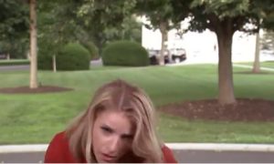 Ουάσιγκτον: Ένα πουλί προσγειώθηκε στο κεφάλι δημοσιογράφου έξω από τον Λευκό Οίκο (βίντεο)