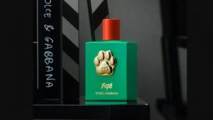 Dolce & Gabbana: Το νέο άρωμα του οίκου ονομάζεται Fefé και απευθύνεται αποκλειστικά στον σκύλο σας