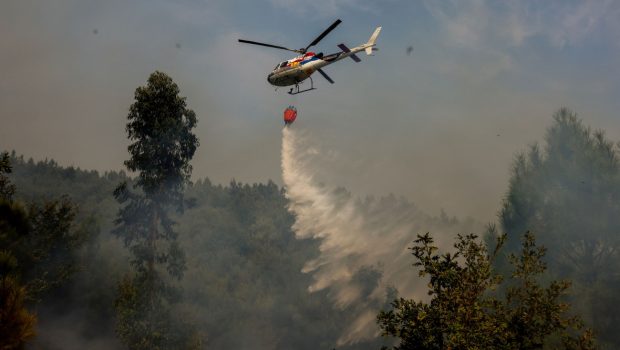 Πορτογαλία: Υπό έλεγχο οι περισσότερες πυρκαγιές στη χώρα- 14 συλλήψεις για εμπρησμούς